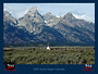 2025 Scenic Calendar - SOME LIKE IT HOT PURCHASE