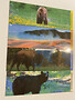 3H Yellowstone National Park Bookmarks