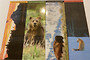 3H Grand Teton National Park Bookmarks